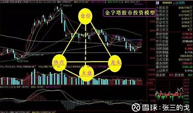 深耕创作沃土 讲好徐闻故事